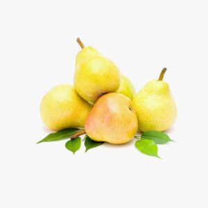 Ispahani Bakery Cake